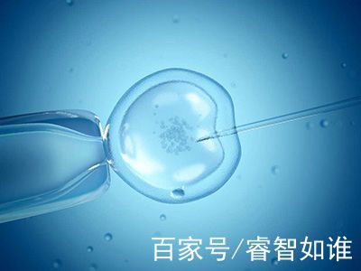 代怀供卵自怀医院